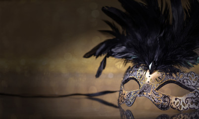 Carnival mask with feathers on dark golden background