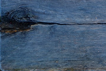 texture of old frozen tree