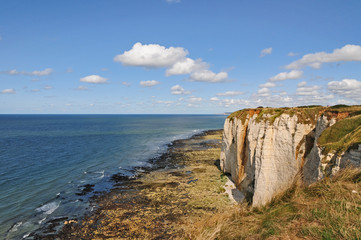 Le scogliere e le spiagge di Etretat - Normandia, Francia
