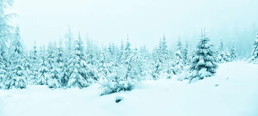 Wandaufkleber Beautiful winter landscape with fresh snow covered spruce trees © Jansk