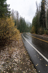 Fototapeta premium A paved mountain road cuts through evergreen forest and yellow and orange aspens of autumn as the moody first snow descends on the mountains