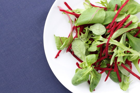 Salad Leaves