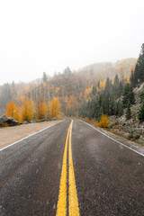 The center double yellow line of a paved curvy Colorado road lined with yellow autumn aspens on a misty snowy day
