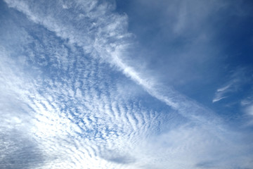 Fototapeta premium Beautiful sky landscape with white clouds high in the stratosphere on a sunny day horizontal photo