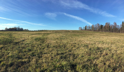 Panoramic countryside landscape with field and forest at far under beautiful blue sky with white clouds in golden autumn on sunny day