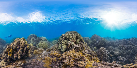 Fototapeta na wymiar 360 of diver on coral reef
