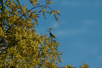 Otoño