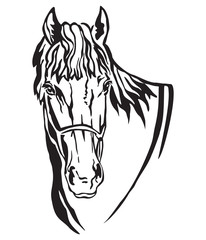 Decorative portrait of horse vector illustration 5