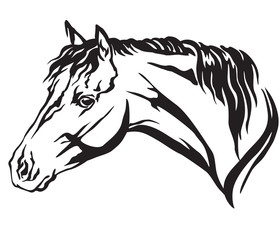 Decorative portrait of horse vector illustration 6