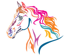 Colorful decorative portrait of horse vector illustration 7