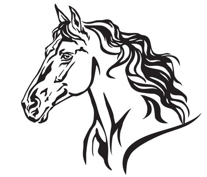 Decorative portrait of horse vector illustration 8