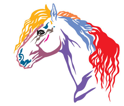 Colorful decorative portrait of horse vector illustration 10