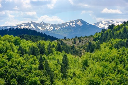 Morava Mountains, Korca region, Korca, Albania, Europe