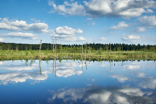View over the Regenmoor marshland and Neckar origin Schwenninger Moos, Villingen-Schwenningen, Schwarzwald-Baarkreis, Baden-Wurttemberg, Germany, Europe