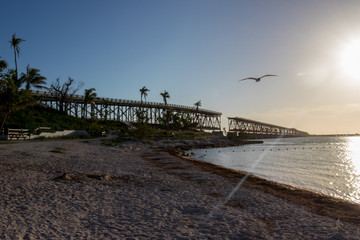 bahia honda key