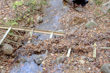 Debris in creek bed