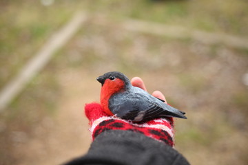 wooden bullfinch in the hand
