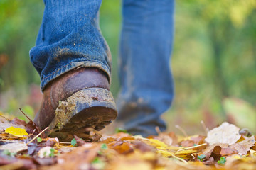 Legs of one person with blue denim jeans and boots walking on the forest.