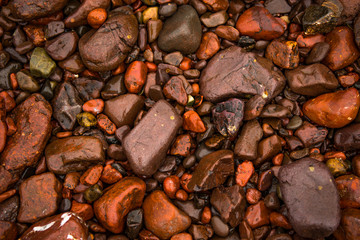 Wet Red Pepples At Atlantic Coast in Scotland