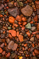 Wet Red Pepples At Atlantic Coast in Scotland