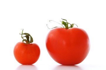 red tomatoes isolated on white background