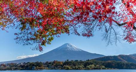 Mt.Fuji in autumn at Lake kawaguchiko in japan.