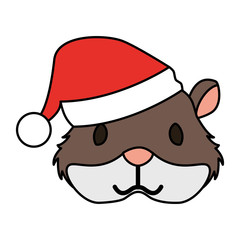 cute hamster with warm hat christmas