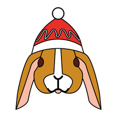 cute rabbit with warm hat christmas