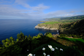 Azores, Portugal - 235006708