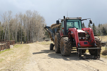 Fototapeta premium Tractor 1