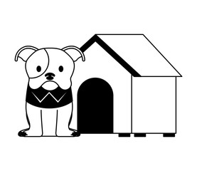 cute dog pet and house