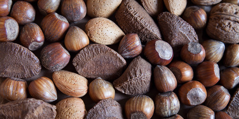 Mixed nuts in shells on the natural background: hazelnut, walnut, Brazil nut and almond.
