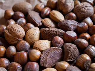 Mixed nuts in shells on the natural background: hazelnut, walnut, Brazil nut and almond.
