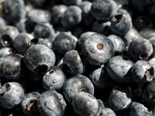 Close up shot of many blueburries