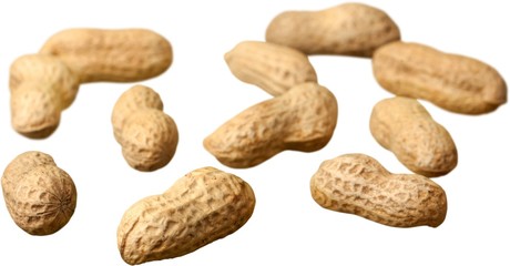 Peanuts - Isolated