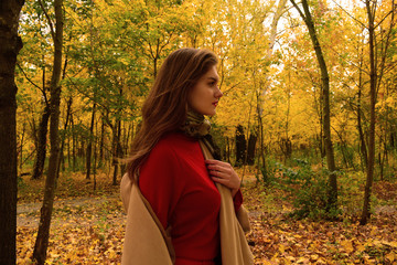 Portrait of a young girl in a coat on a background of autumn plants in the Park.