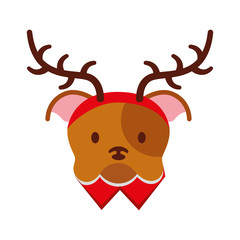 dog merry christmas card