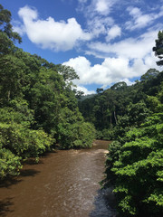 Fototapeta na wymiar Meliau Basin Lost World Conservation Area rainforest jungle and river over the blue sky in Tawau, Sabah, Malaysia.
