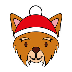 dog merry christmas card