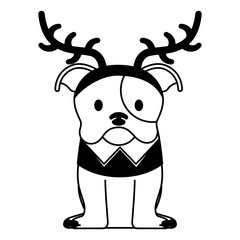 dog merry christmas card