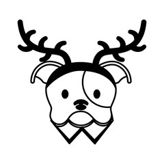 dog merry christmas card