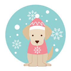 merry christmas card