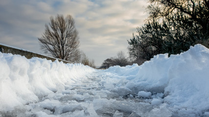 winter landscape with trees and snow