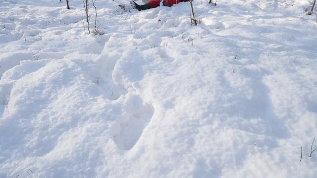 Lying Drunk Santa with a bottle in the forest.