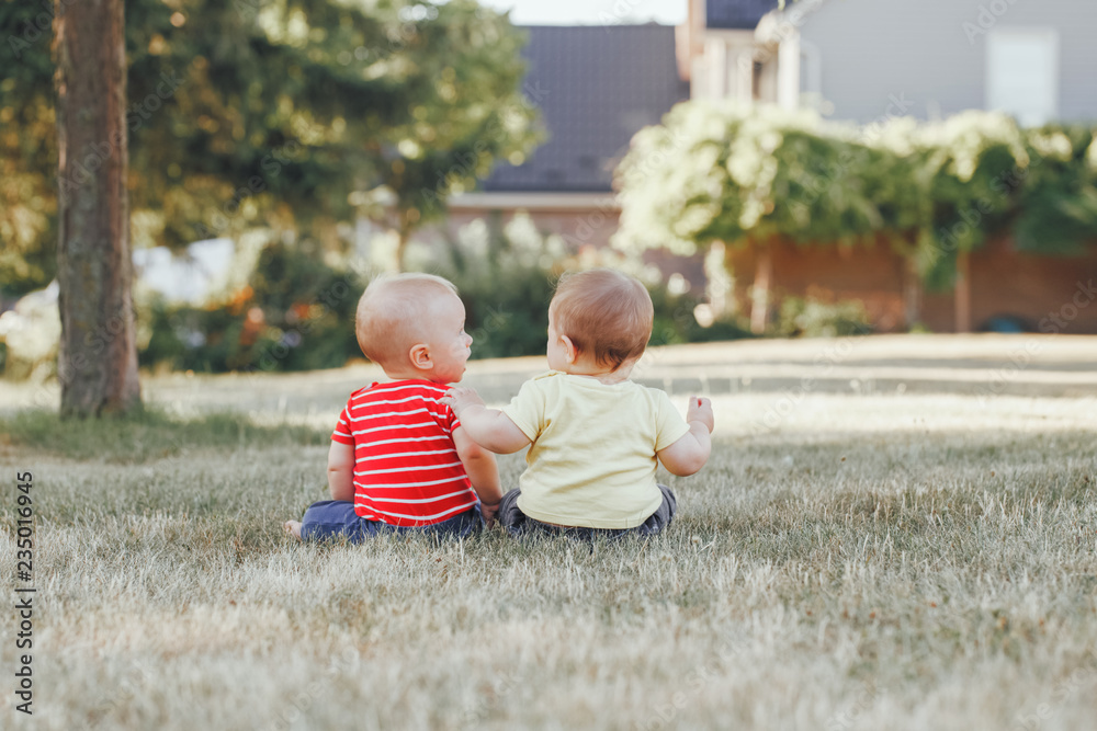 Wall mural two adorable little caucasian babies sitting together in field meadow outside.view from back behind.