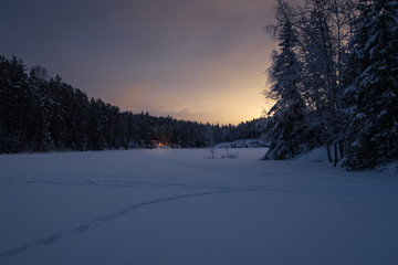 Nuuksio Winter Night