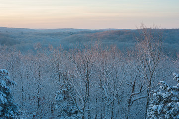 winter landscape with trees and snow