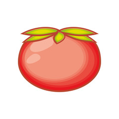fresh tomato isolated icon