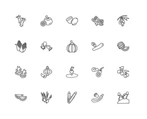 Collection of 20 fruits linear icons such as Pitaya, Mushroom, C