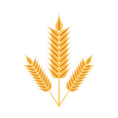 wheat spikes isolated icon